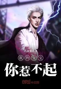 《我的宝宝你惹不起》小说封面