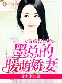 《首席设计师：墨总的暖萌娇妻》小说封面