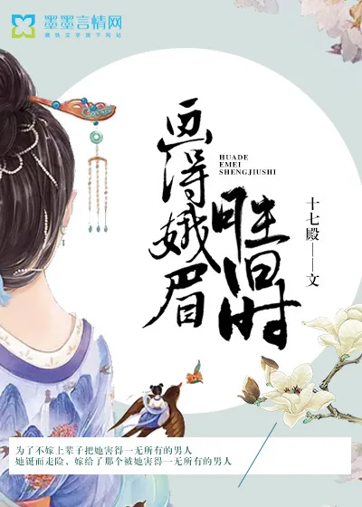 《画得蛾眉胜旧时》小说封面