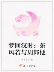 《梦回汉时：东风若与周郎便》小说封面