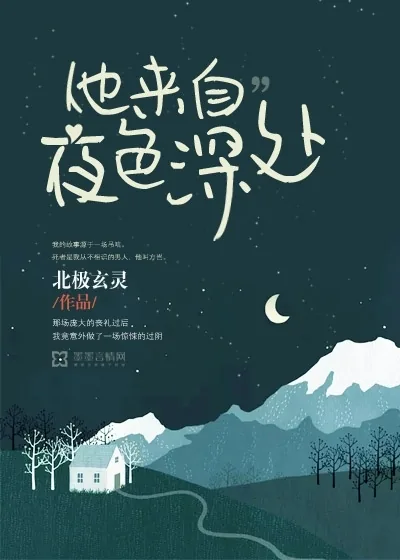 《他来自夜色深处》小说封面