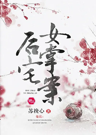 《后宅女掌案》小说封面