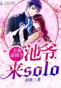 《全服逮捕令：池爷，来solo》小说封面