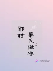 《那时暮色微凉》小说封面