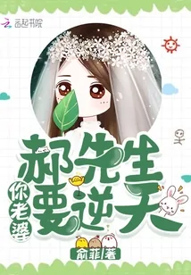 《郝先生，你老婆要逆天》小说封面