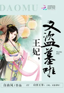 《启禀王爷：王妃，又盗墓啦！》小说封面