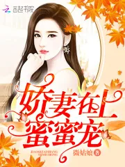 《娇妻在上,蜜蜜宠!》小说封面