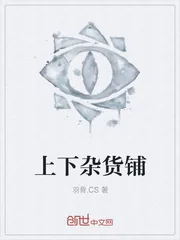《上下杂货铺》小说封面