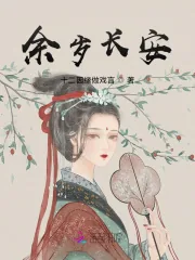 《余岁长安》小说封面