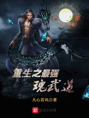 《重生之最强魂武道》小说封面