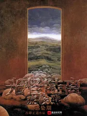 《光怪陆离症候群》小说封面