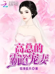 《高总的霸道宠妻》小说封面