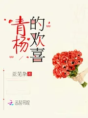 《青杨的欢喜》小说封面