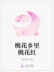 《桃花乡里桃花红》小说封面