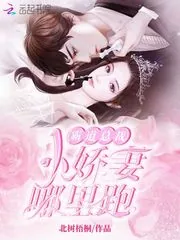 《霸道总裁：小娇妻，哪里跑！》小说封面