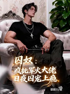 《囚奴：疯批军火大佬日夜囚宠上瘾》小说封面