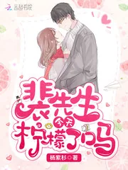 《裴先生今天柠檬了吗》小说封面