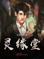 《灵缘堂》小说封面