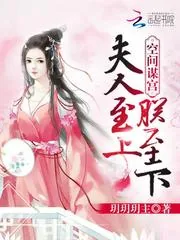 《空间谋宫：夫人至上，朕至下》小说封面