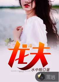 《龙夫》小说封面