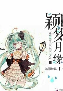 《查理九世之颖梦月缘》小说封面