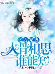 《亿万宠妻：入骨相思谁能知》小说封面