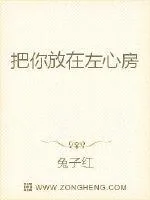 《把你放在左心房》小说封面