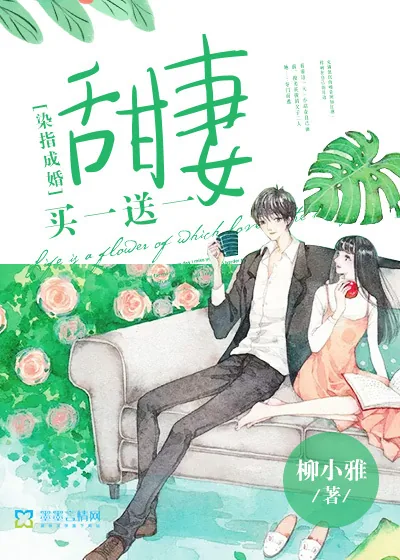 《染指成婚，甜妻买一送一》小说封面