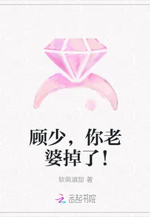 《顾少，你老婆掉了！》小说封面
