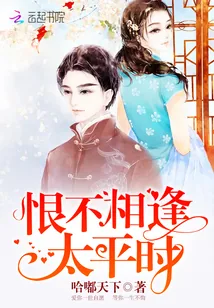 《恨不相逢太平时》小说封面