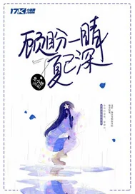 《顾盼一晴夏已深》小说封面