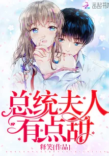 《总统夫人有点甜》小说封面