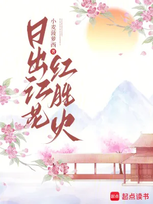 《日出江花红胜火》小说封面