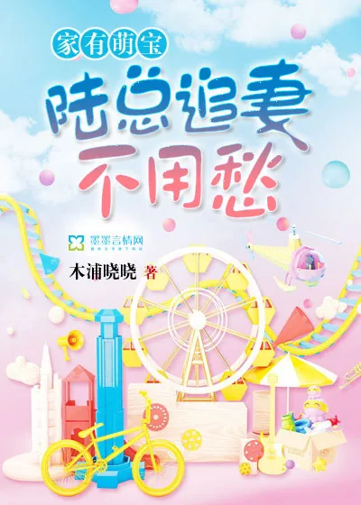 《家有萌宝：陆总追妻不用愁》小说封面