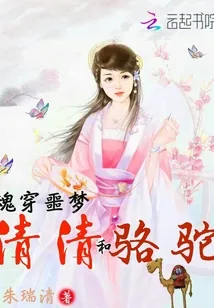 《魂穿噩梦：清清和骆驼》小说封面