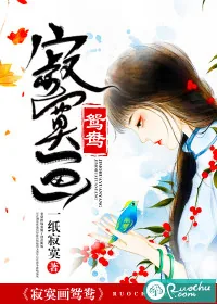 《寂寞画鸳鸯》小说封面