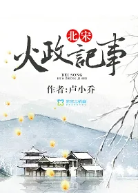 《北宋火政记事》小说封面