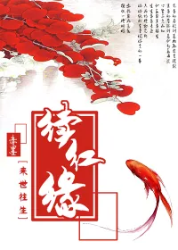 《续红缘之来世往生》小说封面