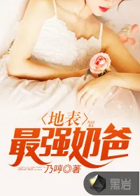 《地表最强奶爸》小说封面