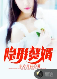 《隐形赘婿》小说封面