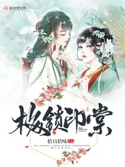 《梅锁印棠》小说封面