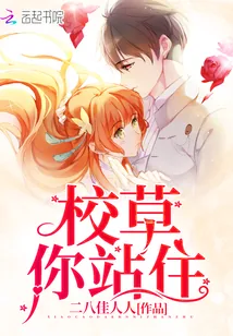《校草，你站住》小说封面