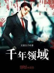 《千年领域》小说封面