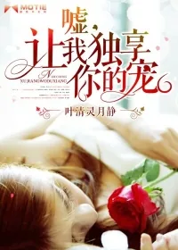 《嘘，让我独享你的宠》小说封面