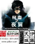 《柯南之夜翼》小说封面