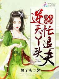 《神女嫁到：逆天丫头忙追夫》小说封面