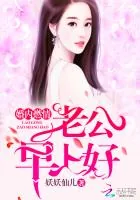《婚内燃情：老公，早上好》小说封面