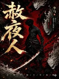 《赦夜人》小说封面