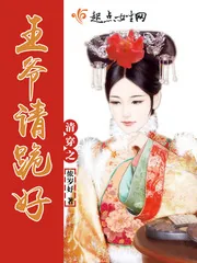 《清穿之王爷请跪好》小说封面