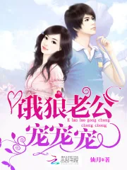 《总裁老公，宠宠宠！》小说封面